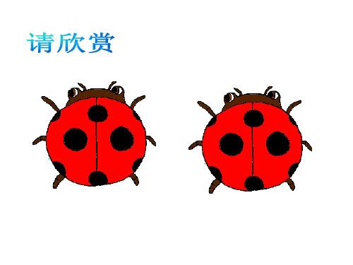苏科数学八年级上册第1章1.1 全等图形课件(共41张PPT)
