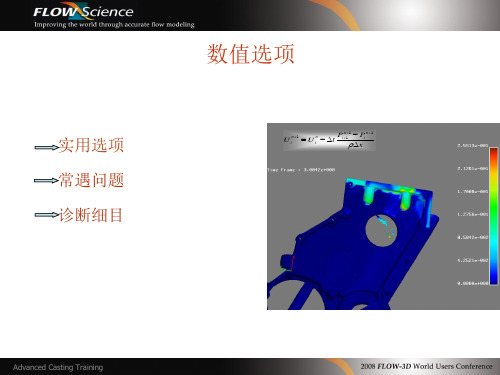 FLOW3D铸造_进阶培训_数值