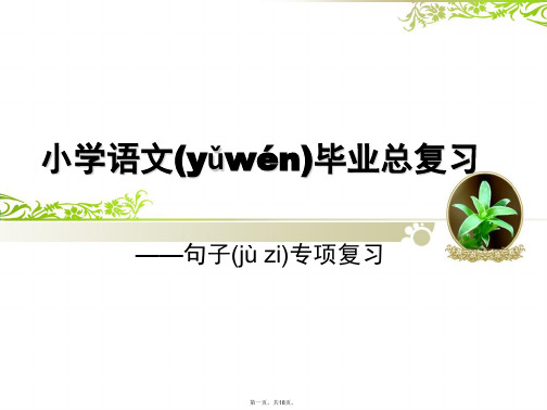 最新小学语文毕业总复习—句子专项复习精品课件