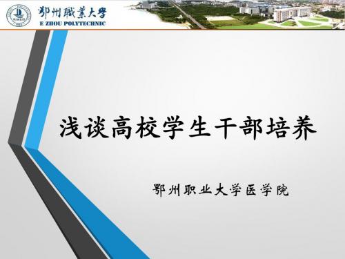 高校学生干部培养