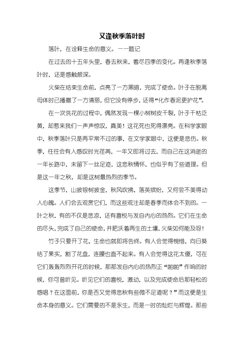 初二作文：又逢秋季落叶时作文600字