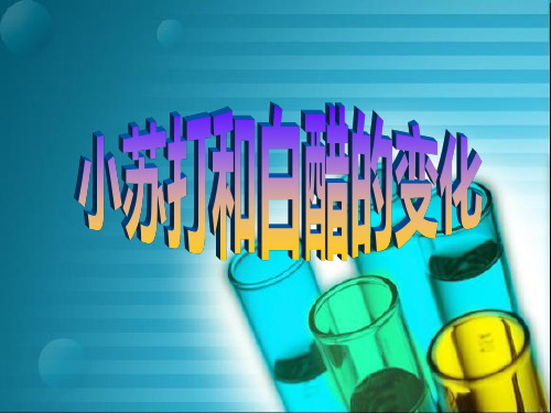 小苏打和白醋的变化说课课件