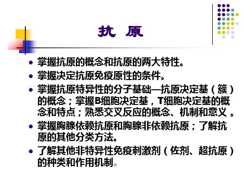 抗原 PPT课件