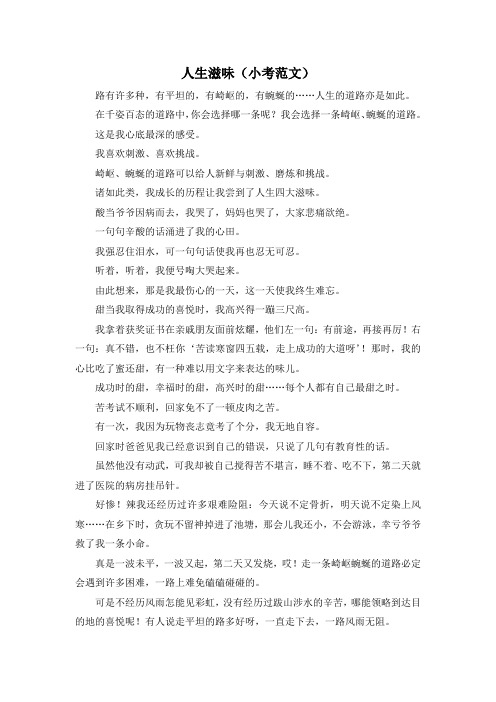 小升初作文-人生滋味(小考范文) 精品