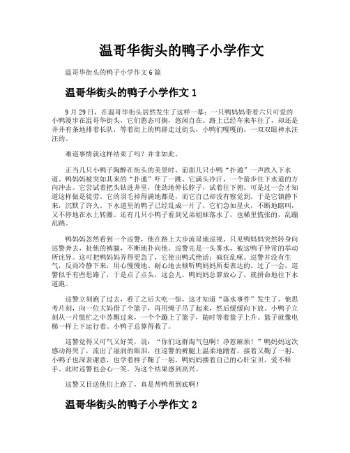 温哥华街头的鸭子小学作文