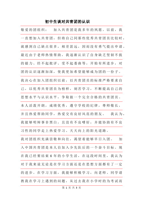 2019年初中生谈对共青团的认识