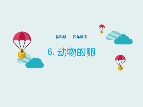 教科版科学最新四下 2-6《动物的卵》PPT 
