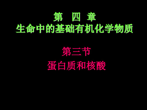 4.3蛋白质和核酸》课件(新人教版选修5