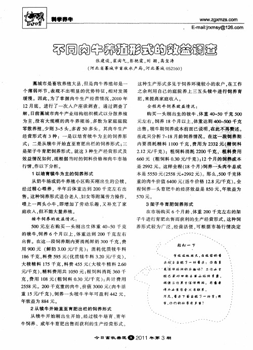 不同肉牛养殖形式的效益调查