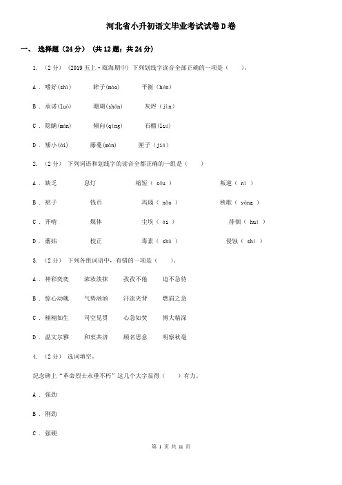 河北省小升初语文毕业考试试卷D卷