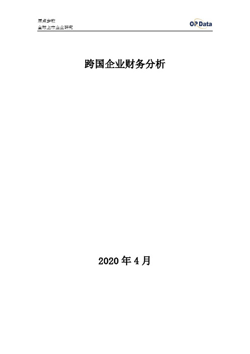 跨国企业财务分析