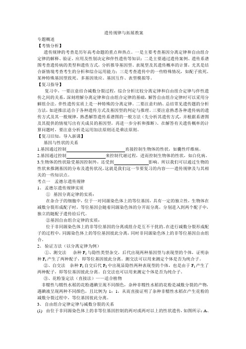 教案