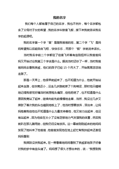 写人作文：我的名字作文800字