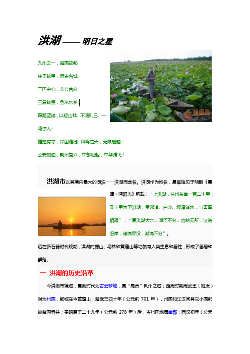 关于洪湖(城市地理学作业)
