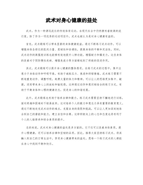 武术对身心健康的益处
