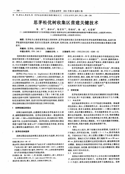 思茅松优树收集区营建关键技术