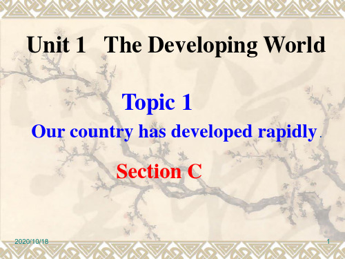 仁爱九年级英语上Unit1 Topic 1 section CPPT优选课件