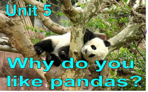 新人教版七年级英语下册Unit 5 Why do you like pandas 公开课课件