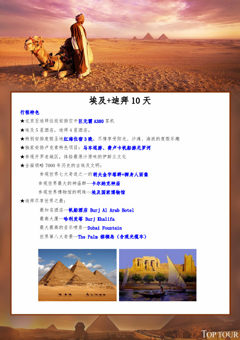 特色旅游--埃及迪拜10天(北京EK)红海度假-117