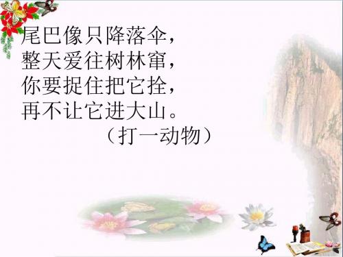四年级语文上册第四单元那只松鼠PPT课件1湘教版