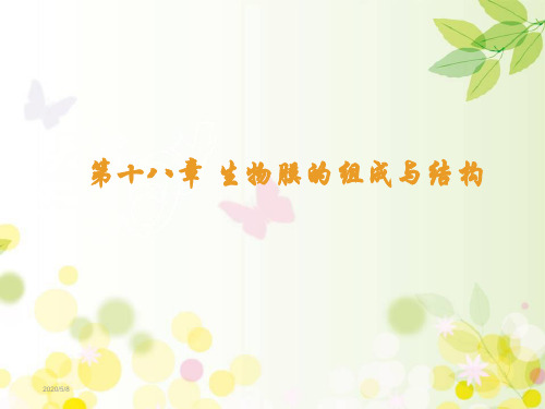 生物膜的组成与结构