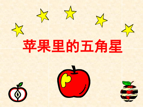 苹果里的五角星苏教版四年级语文下册