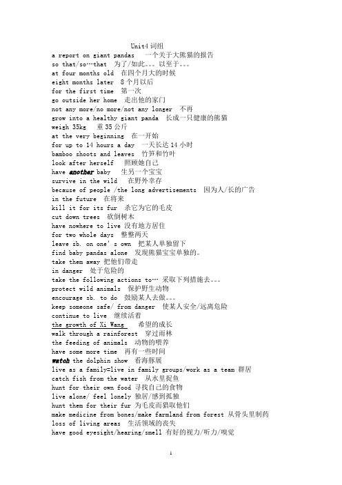 8AUnit4词组