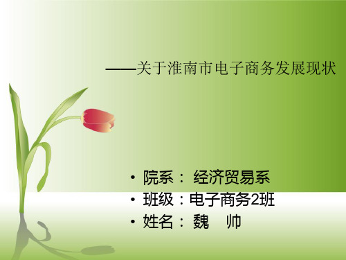 关于中小企业电子商务发展PPT课件