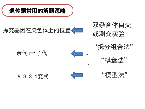 配子法解决遗传题