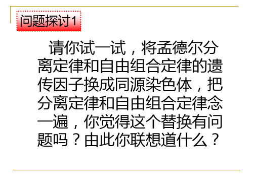 第二节基因在染色体上