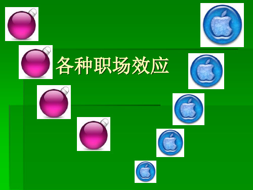 各种各种职场效应效应介绍
