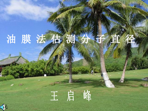 油膜法估测分子直径