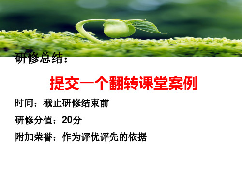 翻转课堂案例PPT课件