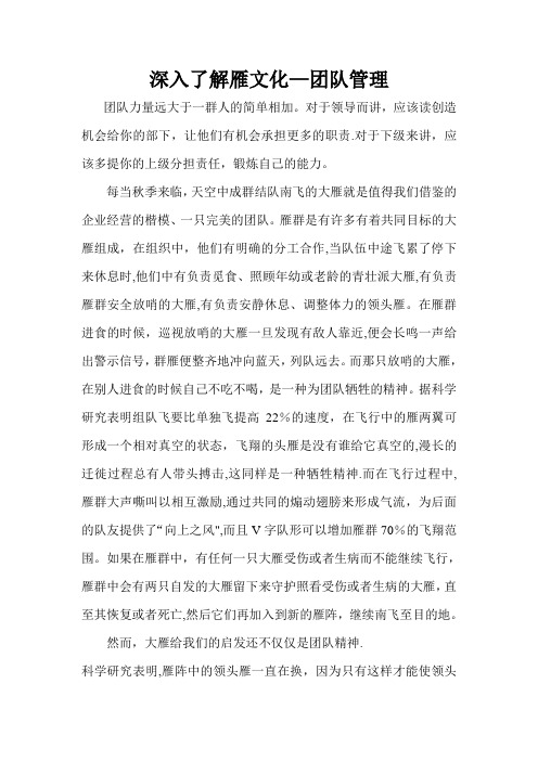 深入了解雁文化-团队管理