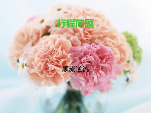 行程问题顺流逆流