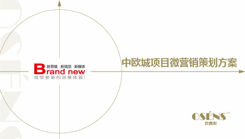 欧赛斯中欧城城市综合体项目整合微营销策划传播方案