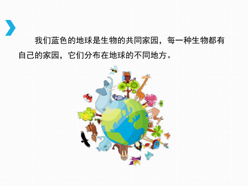 苏教版小学科学六年级下册《寻找生物的家园》课件