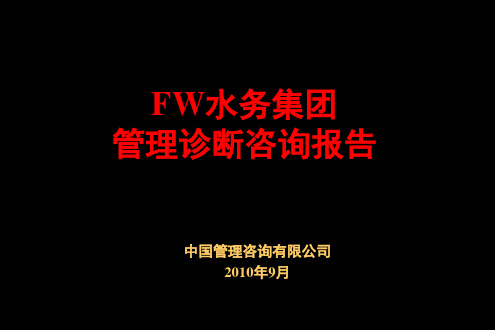 FW水务集团管理诊断咨询报告