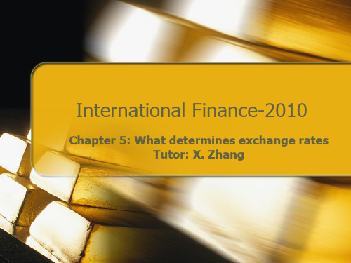 国际金融英文课件5