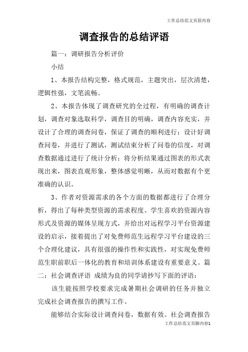 【工作总结范文】调查报告的总结评语