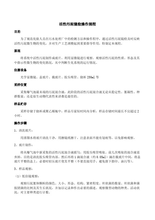 活性污泥镜检操作规程