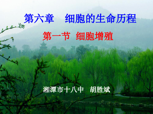 人教版教学课件第六章细胞的生命
