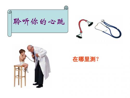 人体内物质的运输  心脏  课件