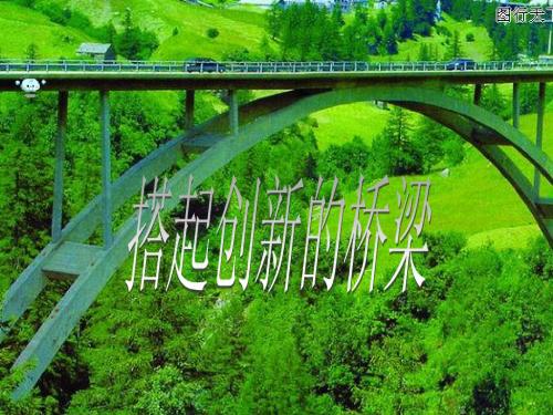 八下政治15课搭起创新的桥梁(鲁教版)