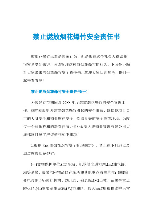 禁止燃放烟花爆竹安全责任书