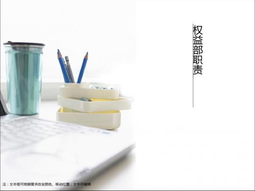 权益部规划(副部长)ppt