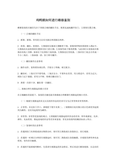 鸡鸭鹅如何进行雌雄鉴别