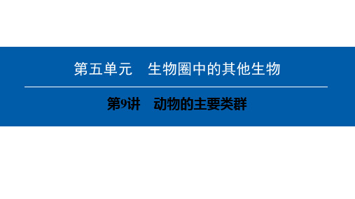 第五单元 第9讲 动物的主要类群