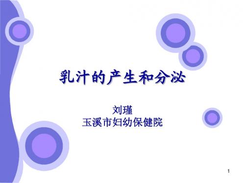 11乳汁的产生和分泌