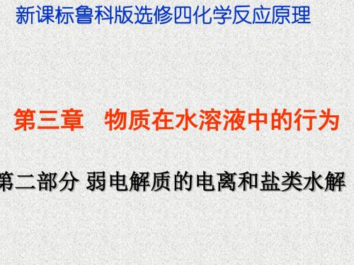 弱电解质的电离和盐类水解ppt 鲁科版